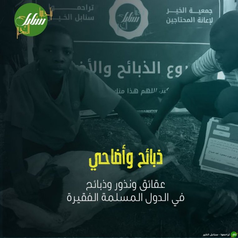 مشاريع سوريا (مساعدة المحتاجين)-صورة-3